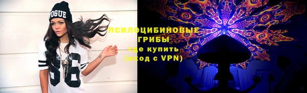 молекула духа Арсеньев