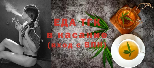 индика Алексин