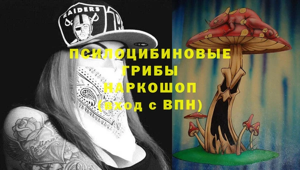 молекула духа Арсеньев