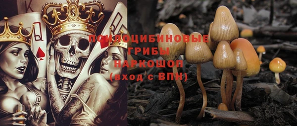 молекула духа Арсеньев