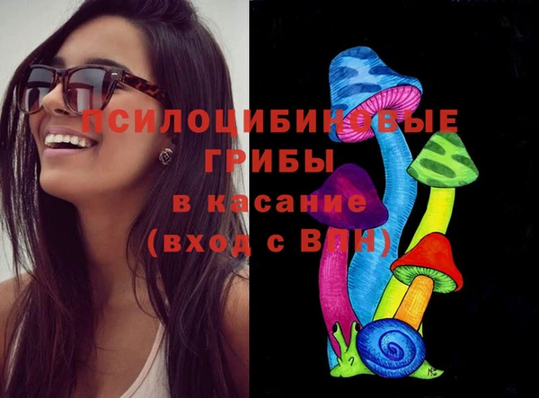 молекула духа Арсеньев