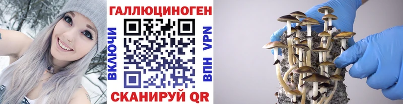 Галлюциногенные грибы Magic Shrooms  где продают наркотики  Звенигово 